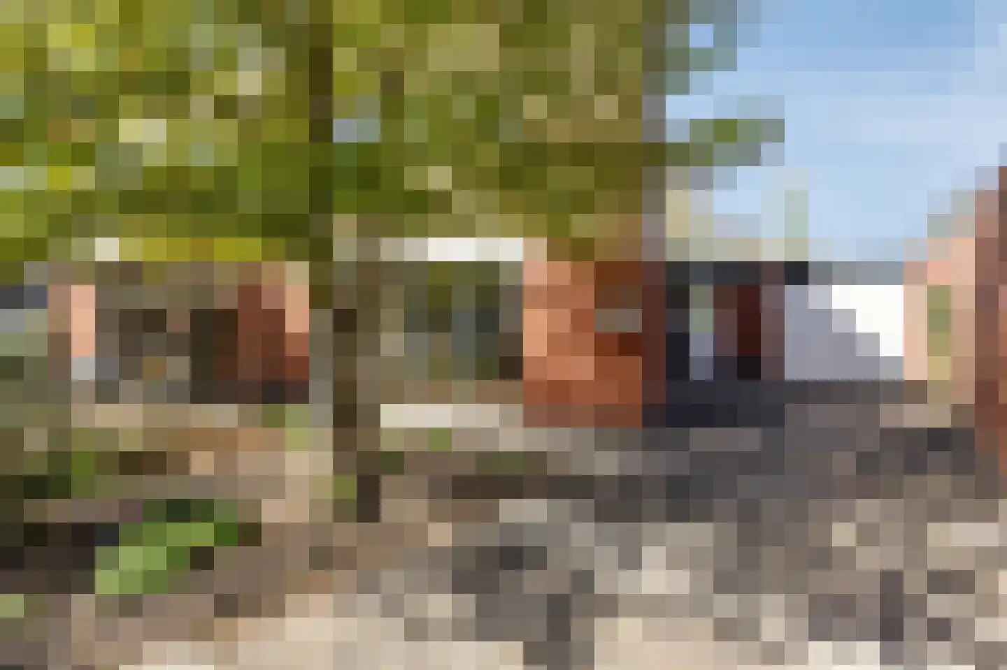 Medler 30 Doetinchem thumbnail 13