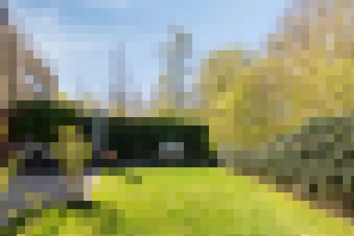 Medler 30 Doetinchem thumbnail 39
