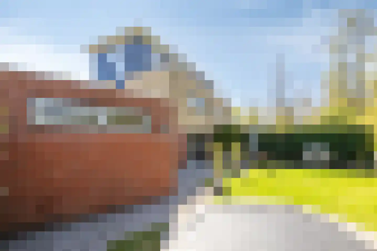 Medler 30 Doetinchem thumbnail 40