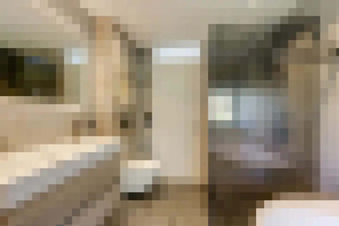 Medler 30 Doetinchem thumbnail 51
