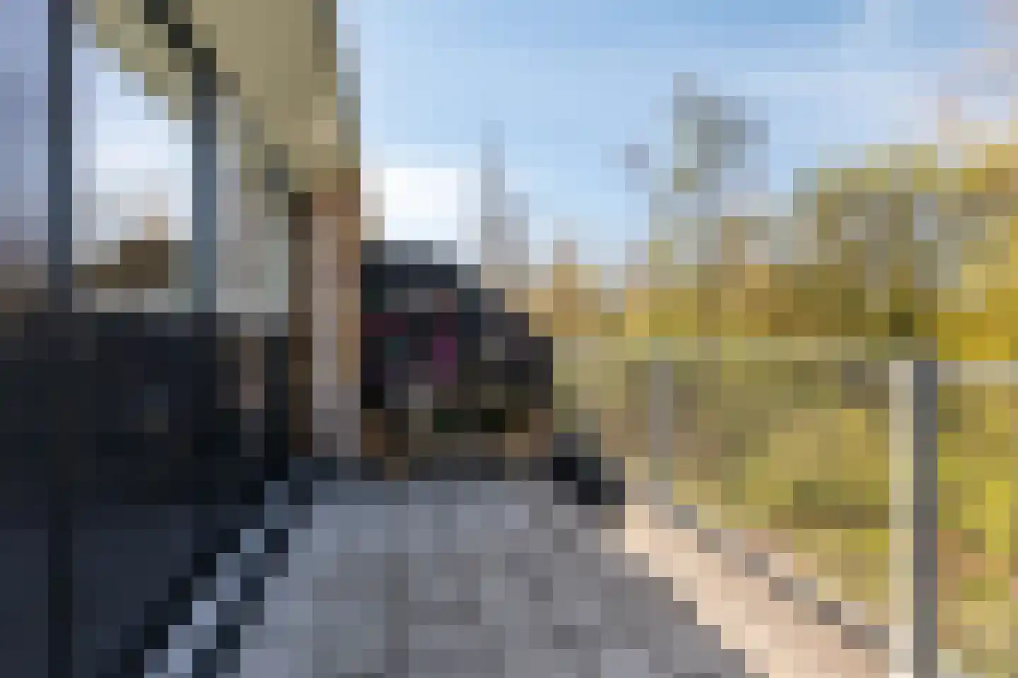 Medler 30 Doetinchem thumbnail 67