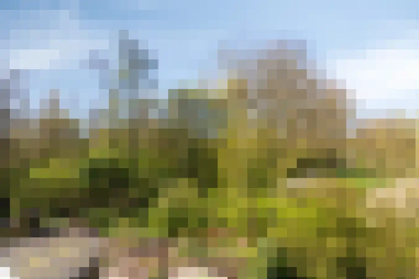 Medler 30 Doetinchem thumbnail 69