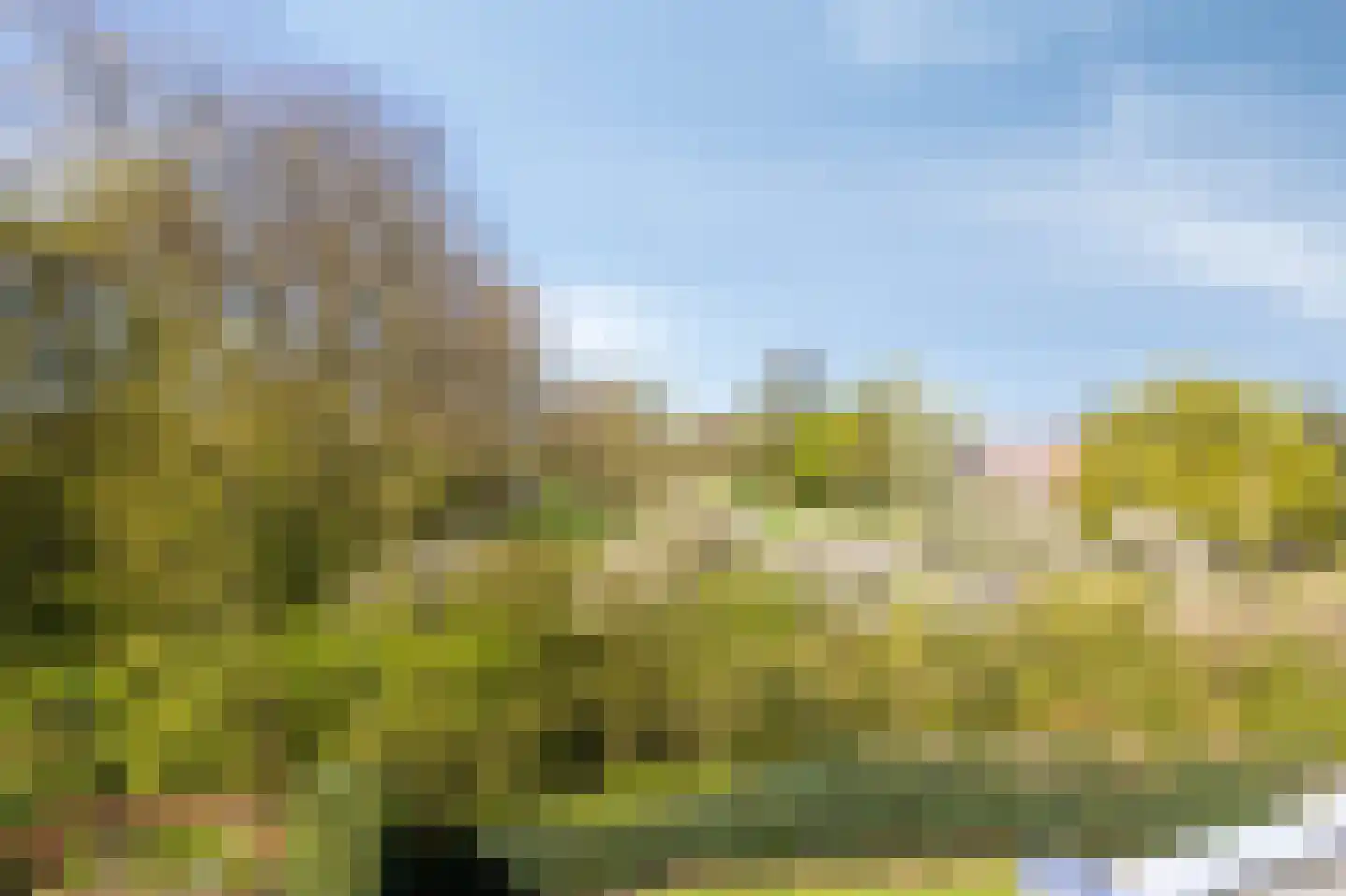 Medler 30 Doetinchem thumbnail 70