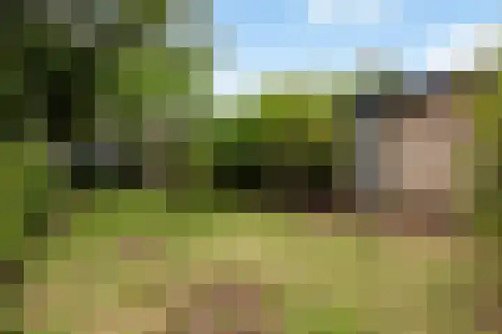 Medocgaard 18 Spijkenisse thumbnail 10