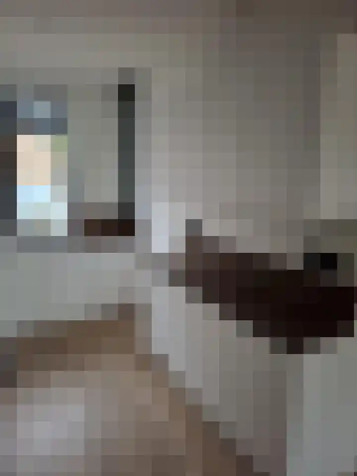 Medocgaard 18 Spijkenisse thumbnail 5