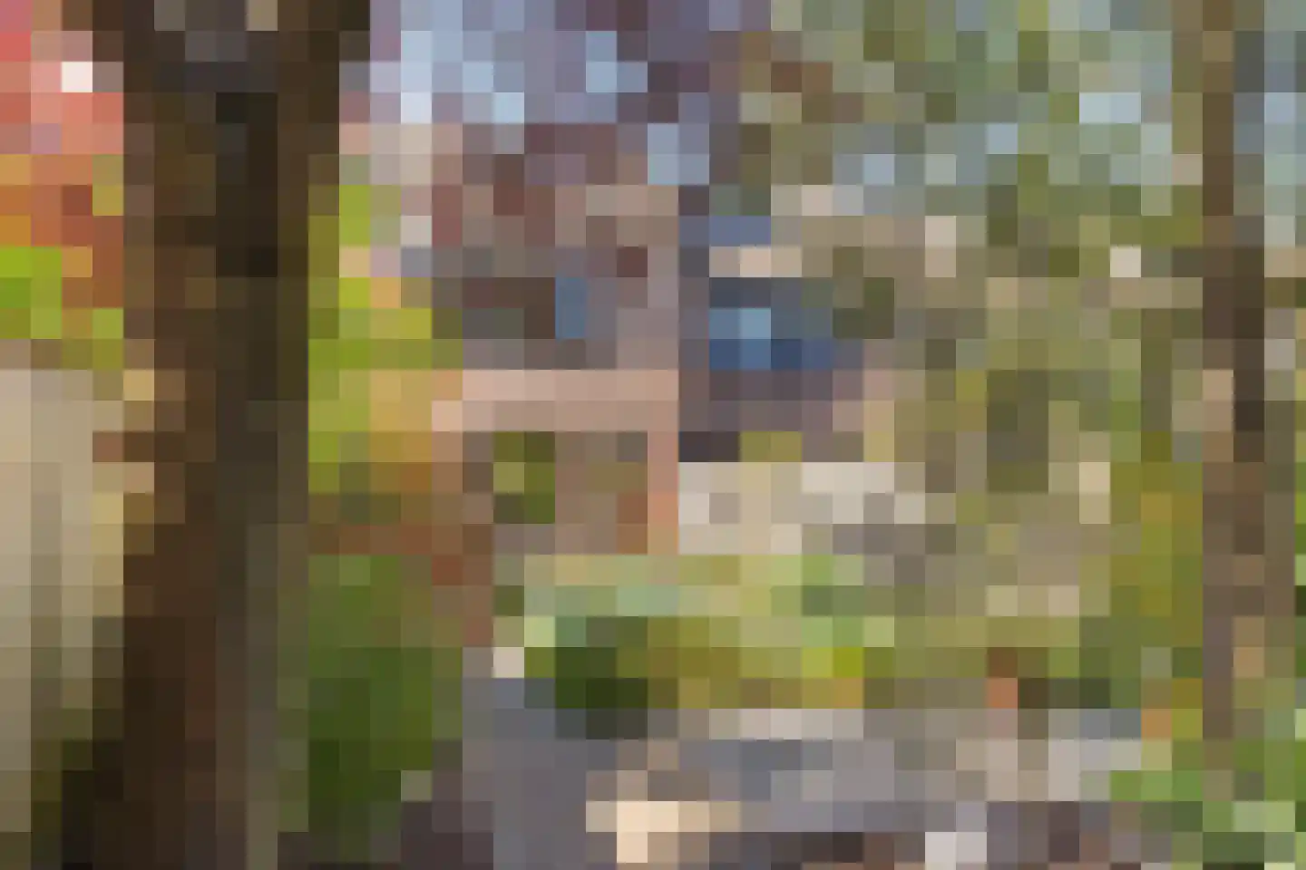 Médoclaan 44 Eindhoven thumbnail 27