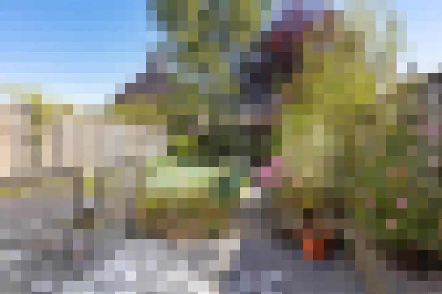 Médoclaan 44 Eindhoven thumbnail 30