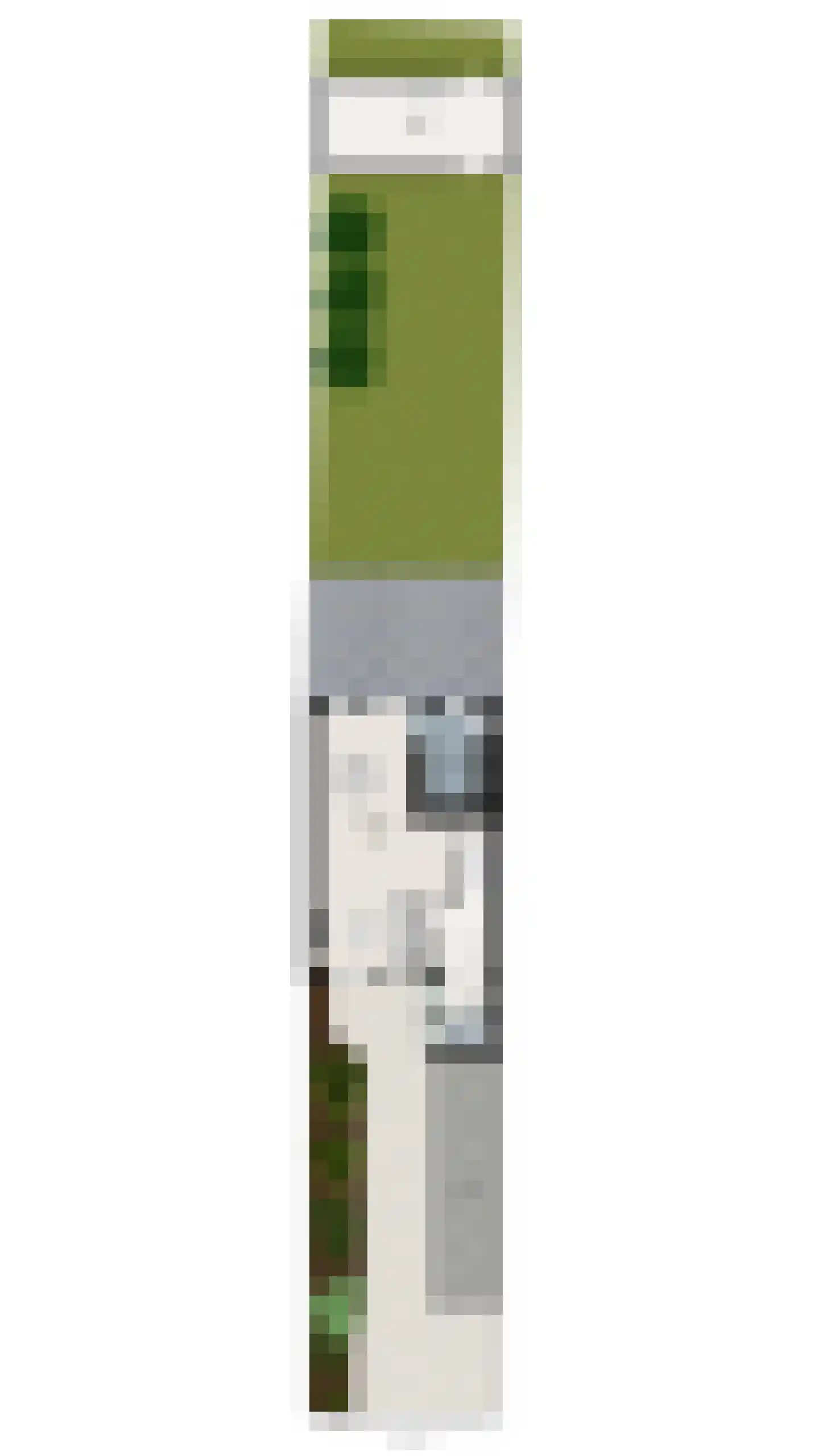 Médoclaan 44 Eindhoven thumbnail 34