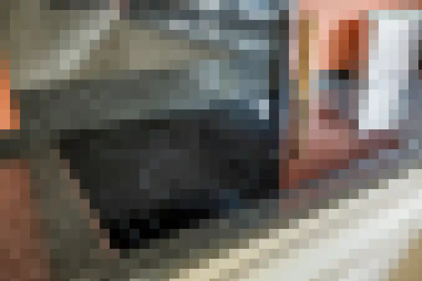 Médoclaan 46 Eindhoven thumbnail 19