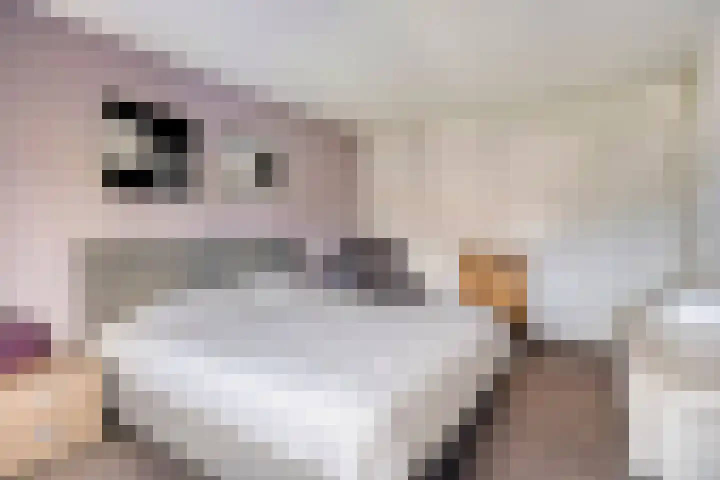 Médoclaan 46 Eindhoven thumbnail 21