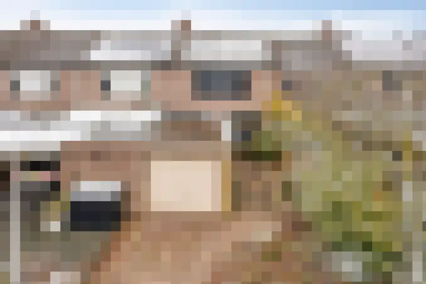Médoclaan 46 Eindhoven thumbnail 40