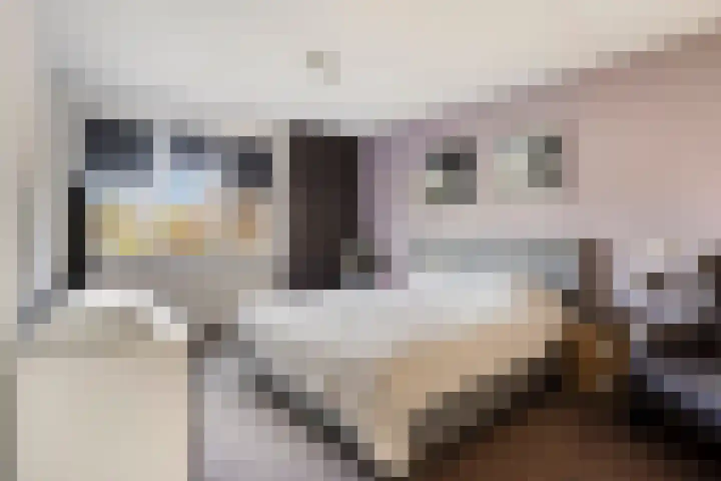 Médoclaan 46 Eindhoven thumbnail 5