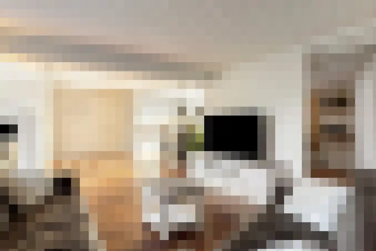 Médoclaan 58 Eindhoven thumbnail 11