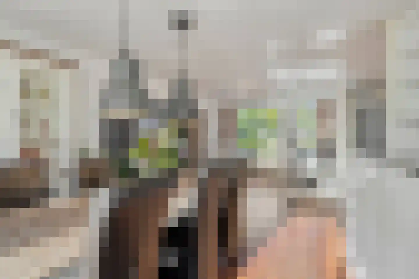 Médoclaan 58 Eindhoven thumbnail 15