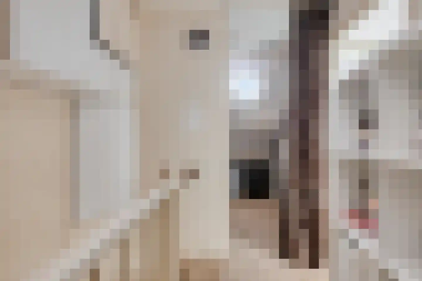 Médoclaan 58 Eindhoven thumbnail 29