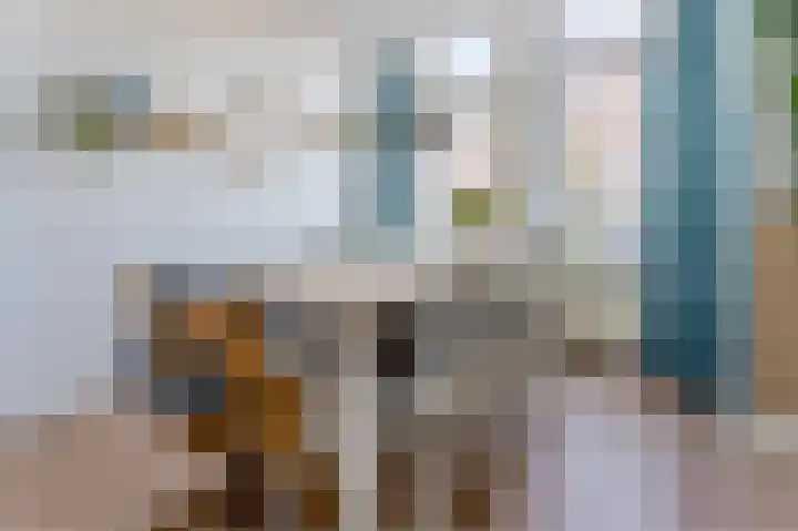 Medusastraat 21 Leiden thumbnail 8