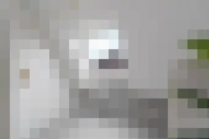 Medusastraat 6 Almere thumbnail 71