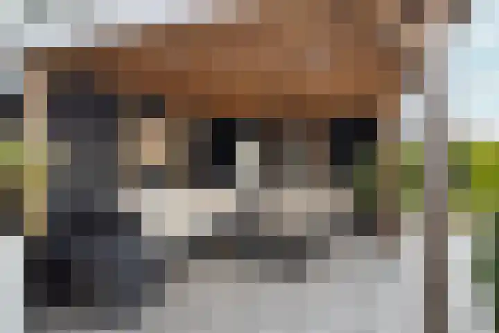 Medusastraat 6 Almere thumbnail 85