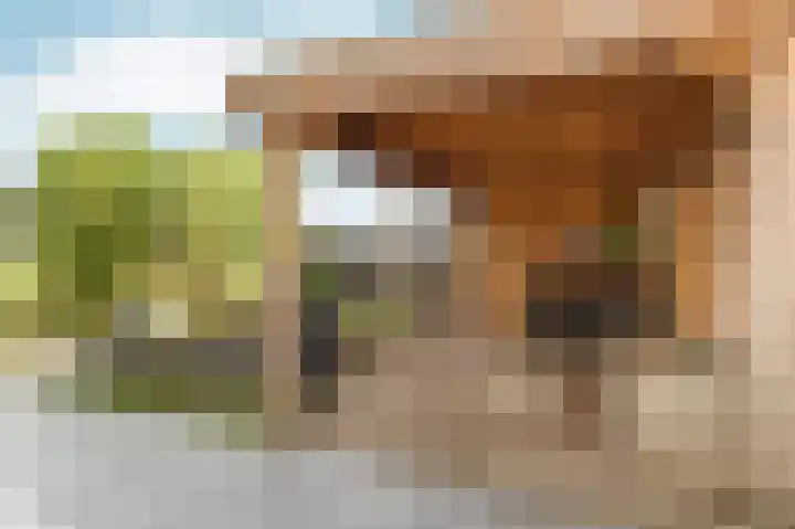 Medusastraat 6 Almere thumbnail 91