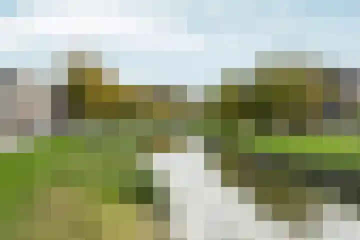 Medusastraat 6 Almere thumbnail 99