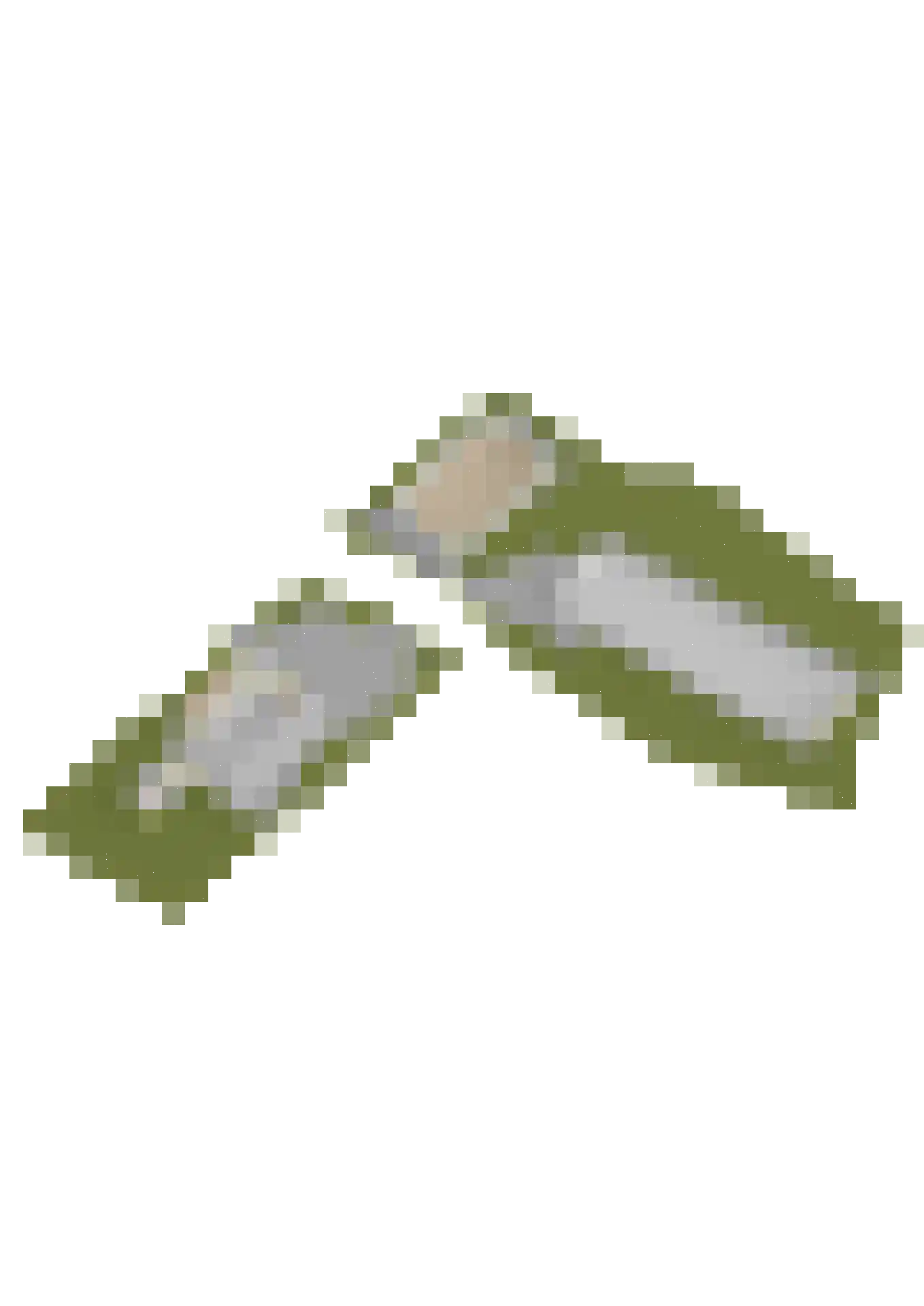 Medwert 1 Holwert thumbnail 102