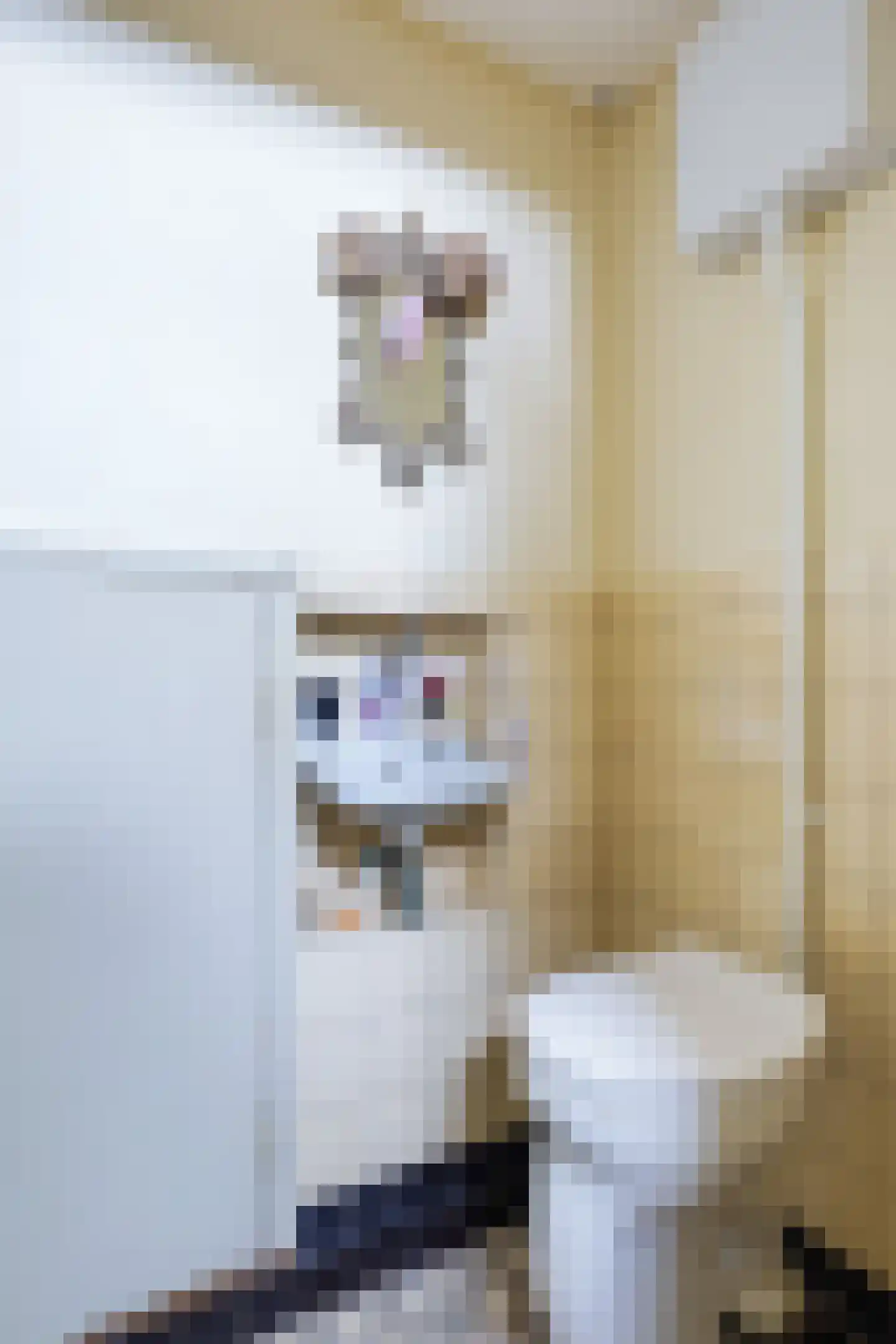 Medwert 1 Holwert thumbnail 20