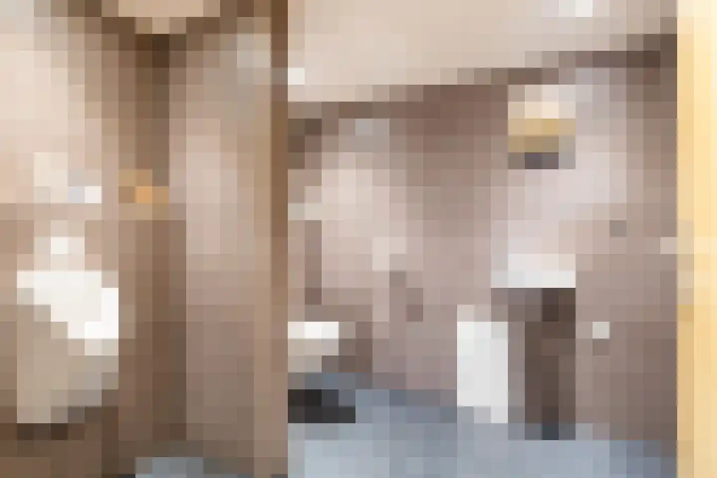 Medwert 1 Holwert thumbnail 61