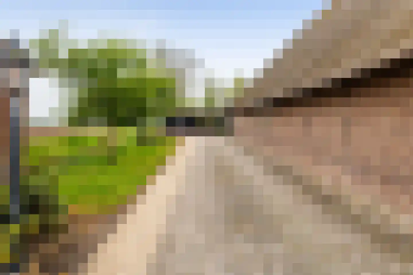 Medwert 1 Holwert thumbnail 73