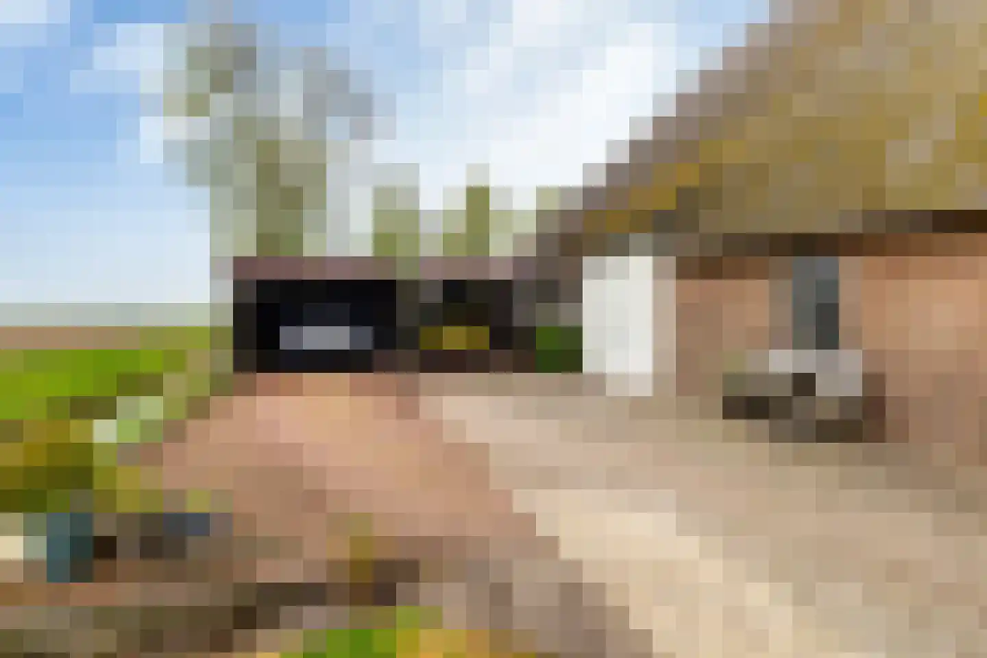 Medwert 1 Holwert thumbnail 74