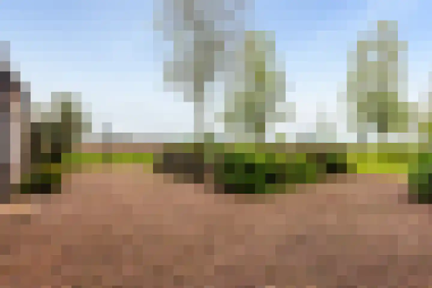 Medwert 1 Holwert thumbnail 77