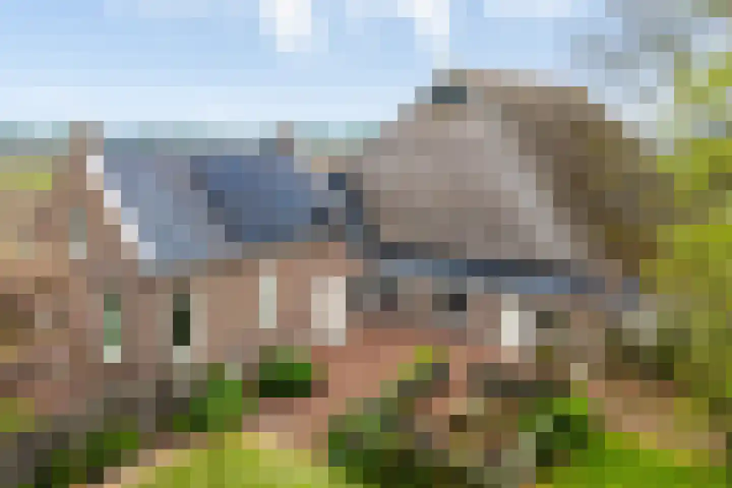 Medwert 1 Holwert thumbnail 80