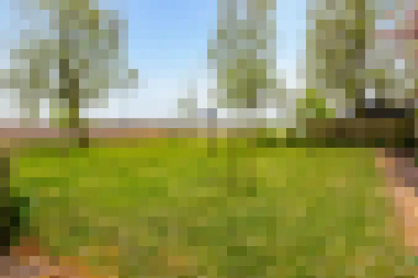 Medwert 1 Holwert thumbnail 81