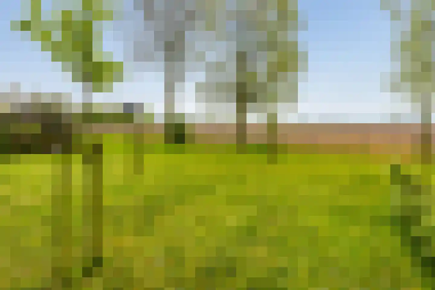Medwert 1 Holwert thumbnail 82