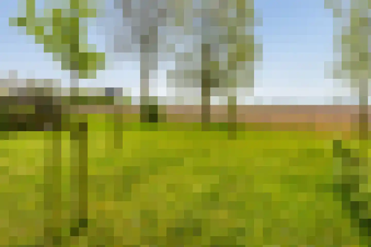 Medwert 1 Holwert thumbnail 82