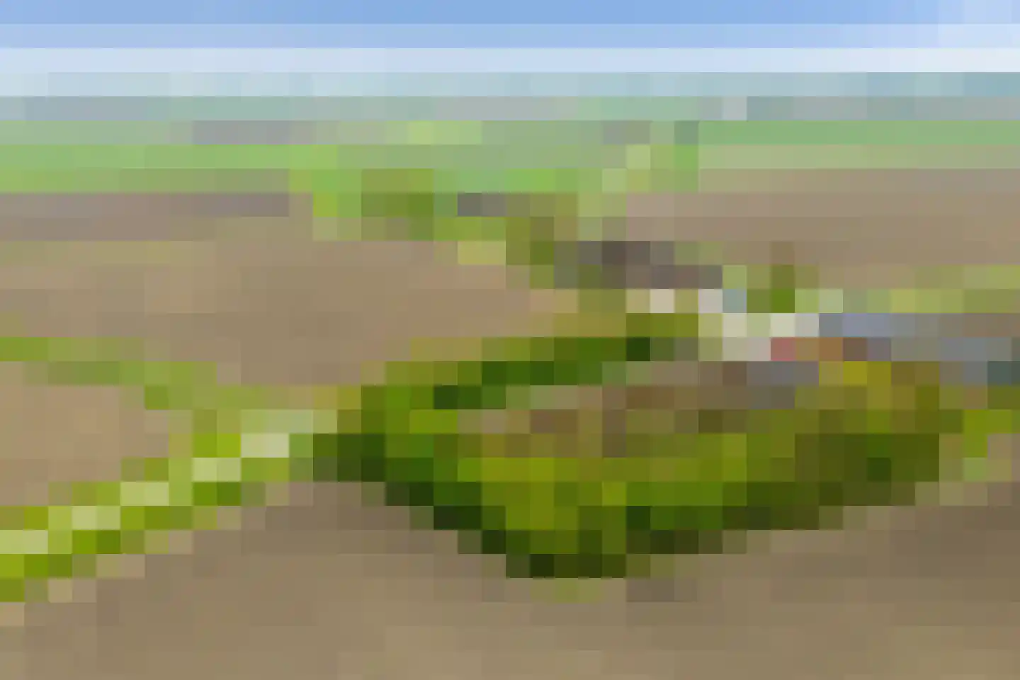 Medwert 1 Holwert thumbnail 84
