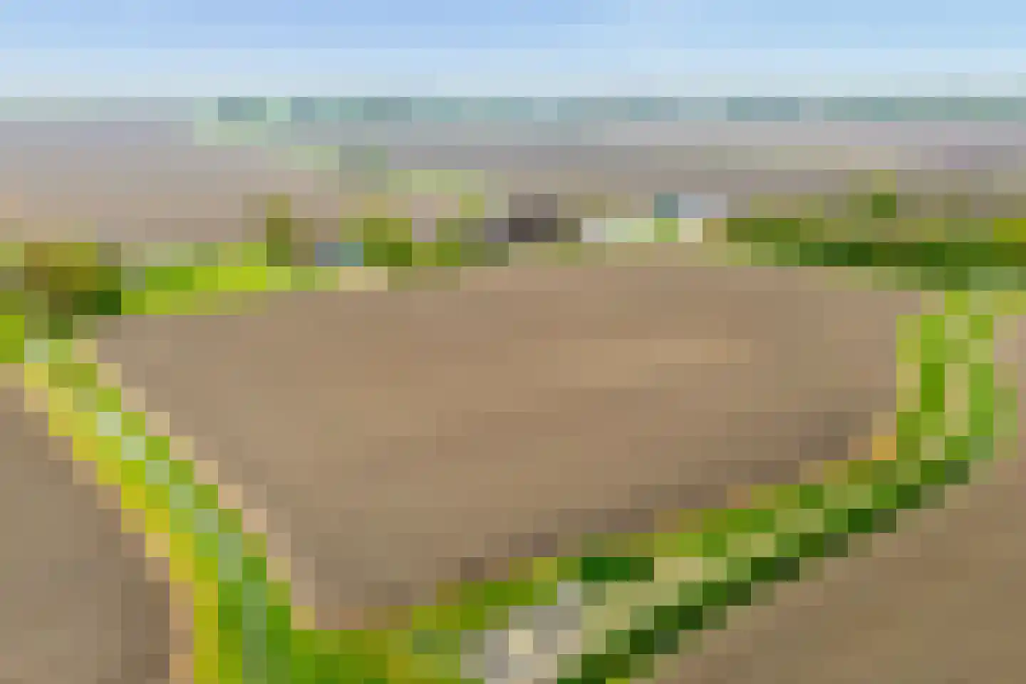 Medwert 1 Holwert thumbnail 85