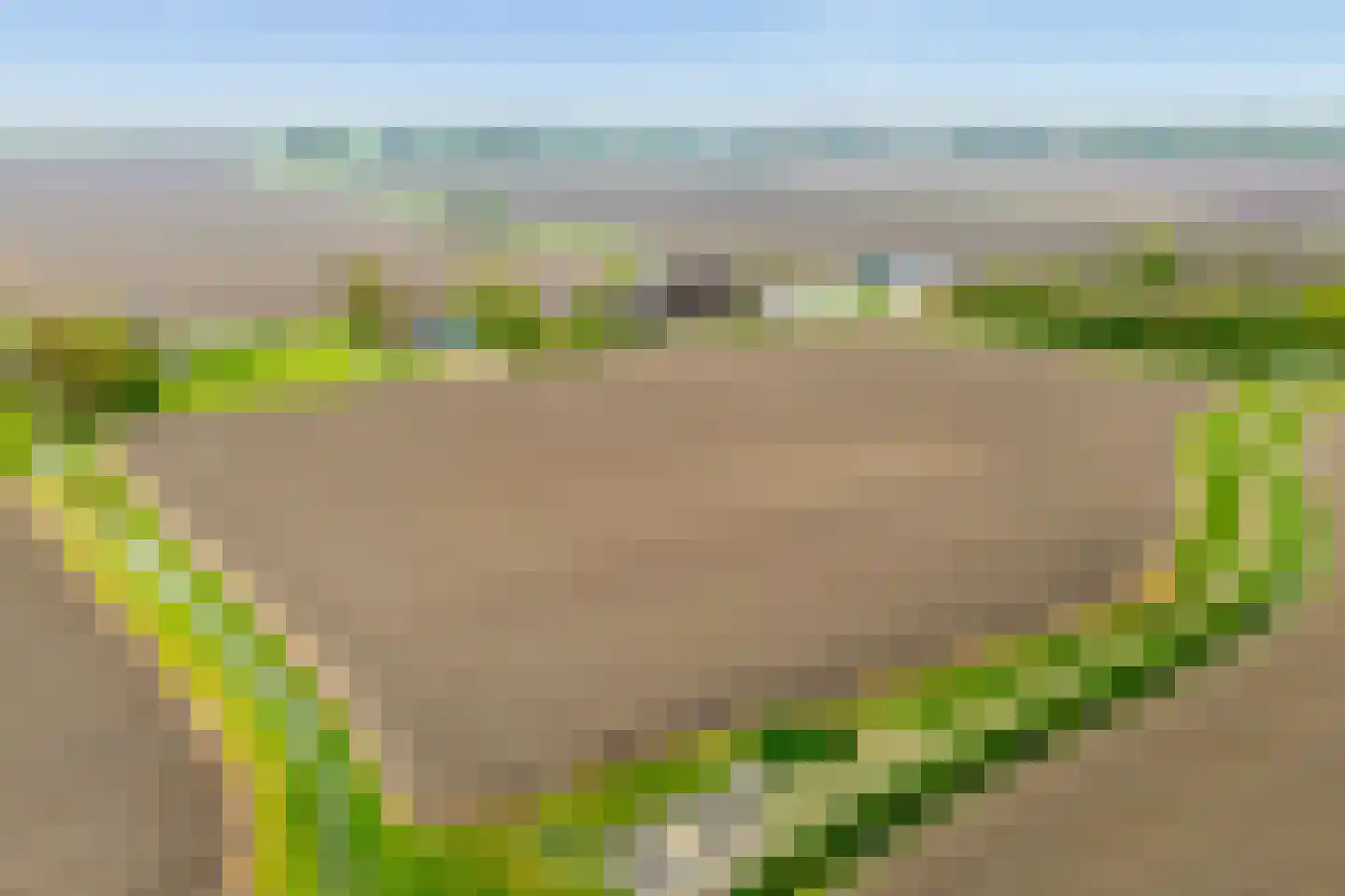 Medwert 1 Holwert thumbnail 85