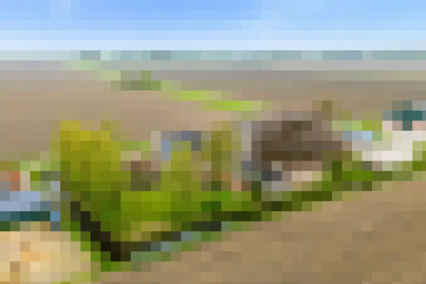 Medwert 1 Holwert thumbnail 86