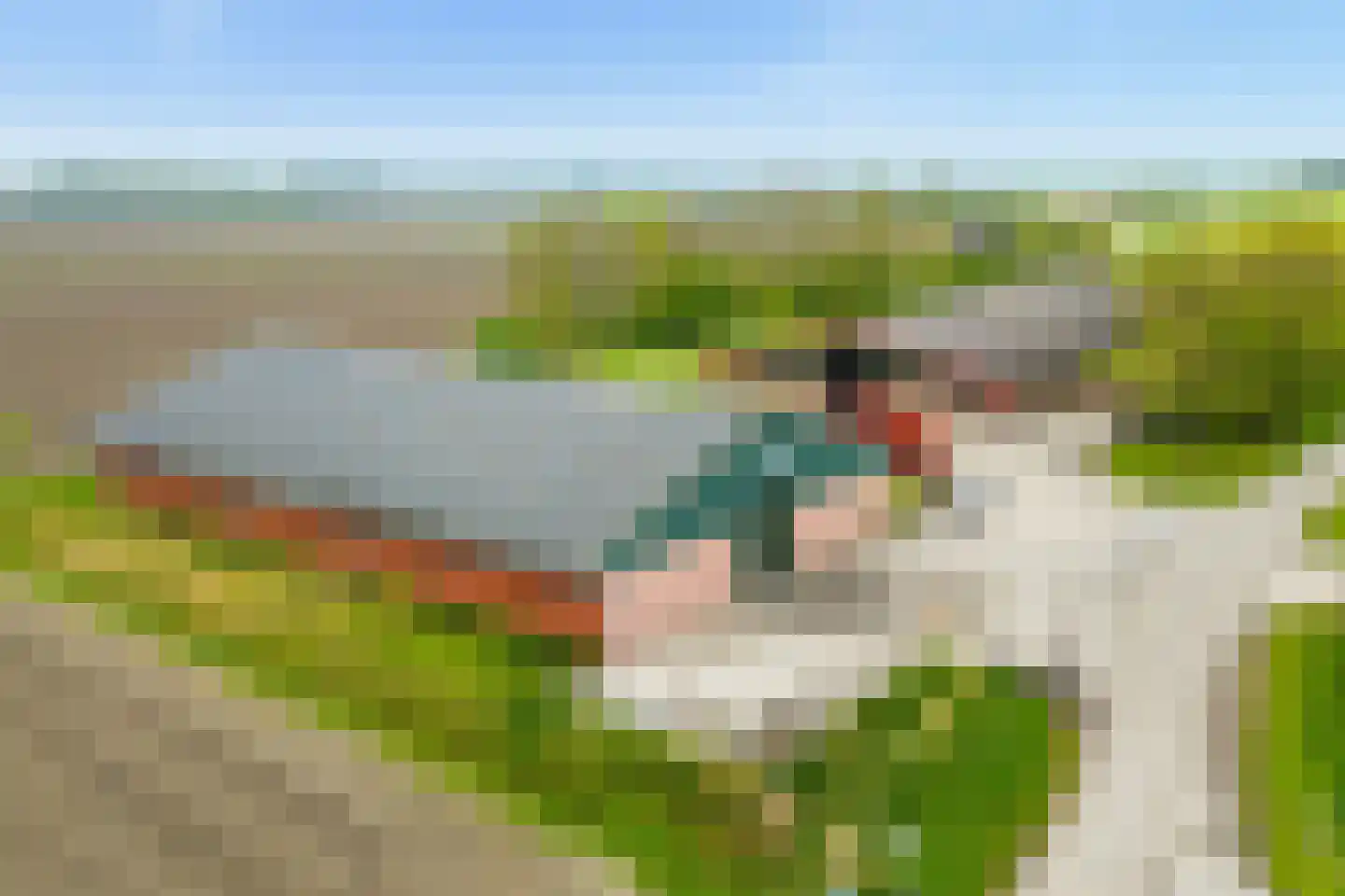 Medwert 1 Holwert thumbnail 88