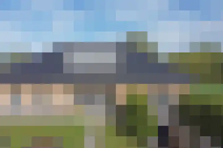 Medwert 2 Dokkum thumbnail 10