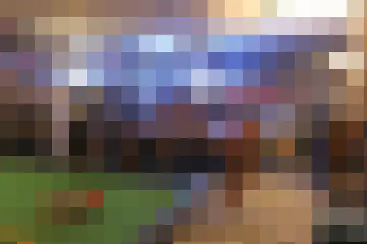 Medwert 2 Dokkum thumbnail 47