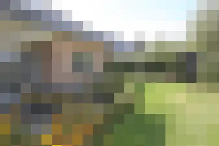 Medwert 2 Dokkum thumbnail 48