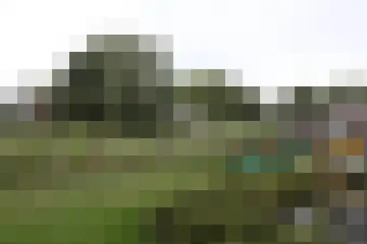 Medwert 2 Dokkum thumbnail 50