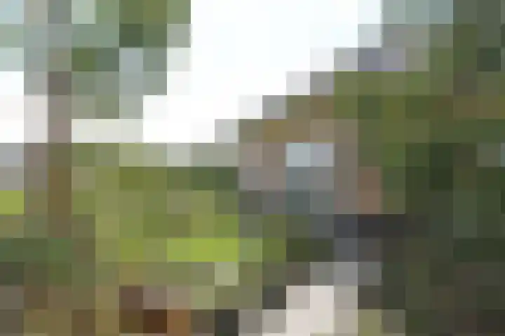Medwert 2 Dokkum thumbnail 51