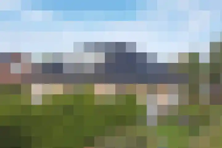 Medwert 2 Dokkum thumbnail 56