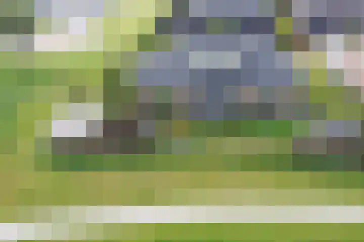 Medwert 2 Dokkum thumbnail 59