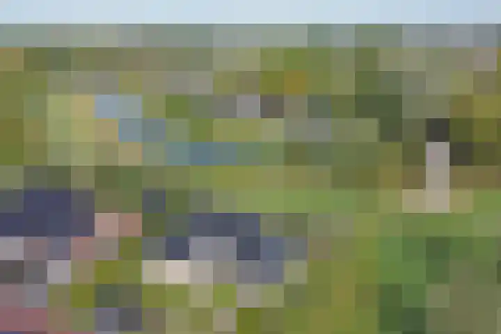 Medwert 2 Dokkum thumbnail 6