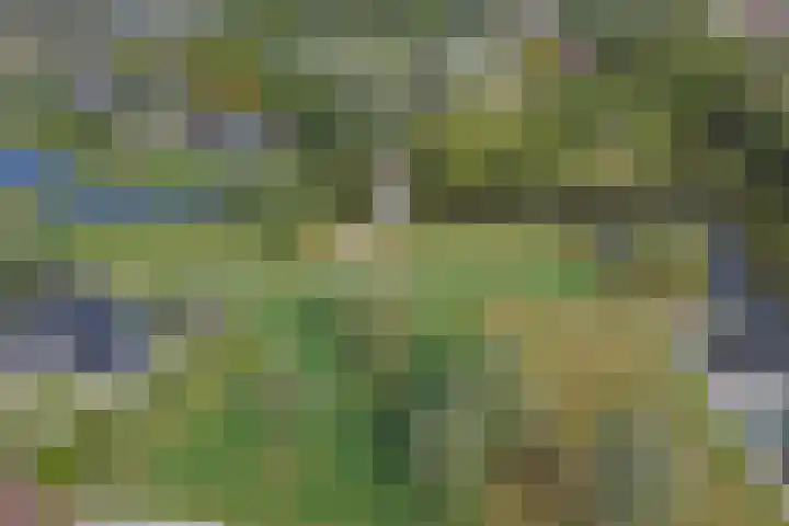 Medwert 2 Dokkum thumbnail 60