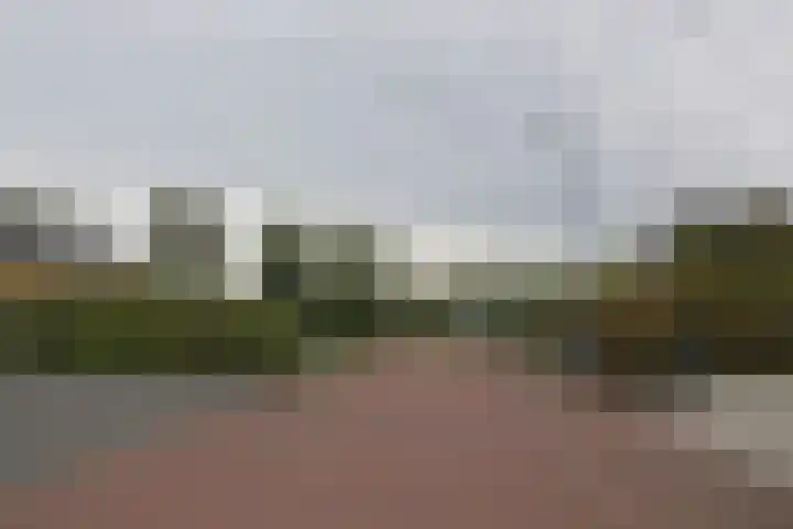 Medwert 2 Dokkum thumbnail 8
