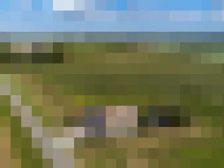 Medwerterwei 7 Holwert